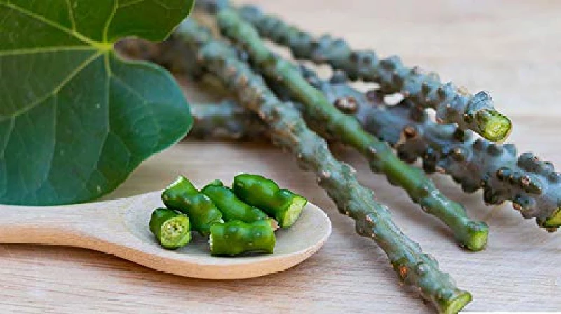 Dhootapapeshwar Guduchi Tablet, 60 Tablets-5.webp